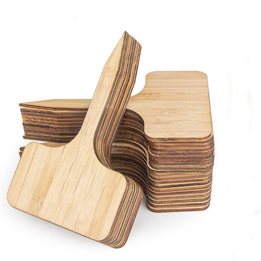 Floral Picks Wood - 100개 나무 식물 태그 스테이크, 다육식물용