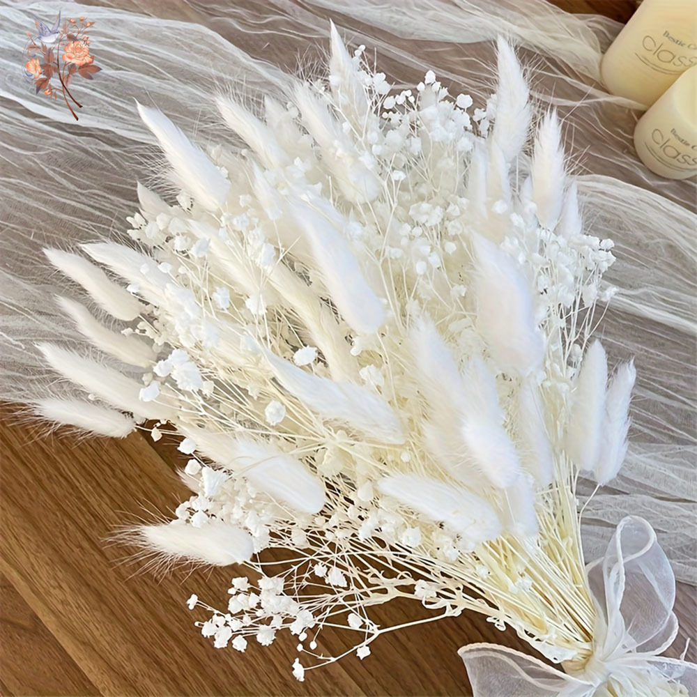 54Pcs 흰색 말린 꽃 신부 Mariage 꽃다발 자 - Baby Breath Dried 리뷰 및 가격