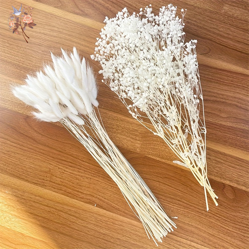 54Pcs 흰색 말린 꽃 신부 Mariage 꽃다발 자 - Baby Breath Dried 리뷰 및 가격