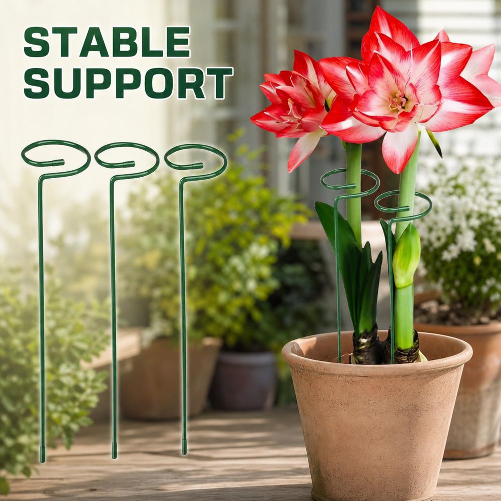 금속 식물 지지대 정원 꽃 줄기 등반용 지지대 녹 방지 - Florist Supply Bulk 리뷰 및 가격