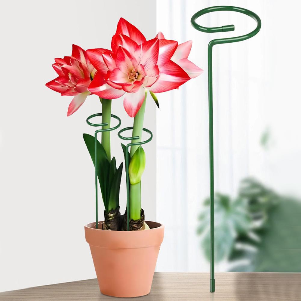 금속 식물 지지대 정원 꽃 줄기 등반용 지지대 녹 방지 - Florist Supply Bulk 리뷰 및 가격