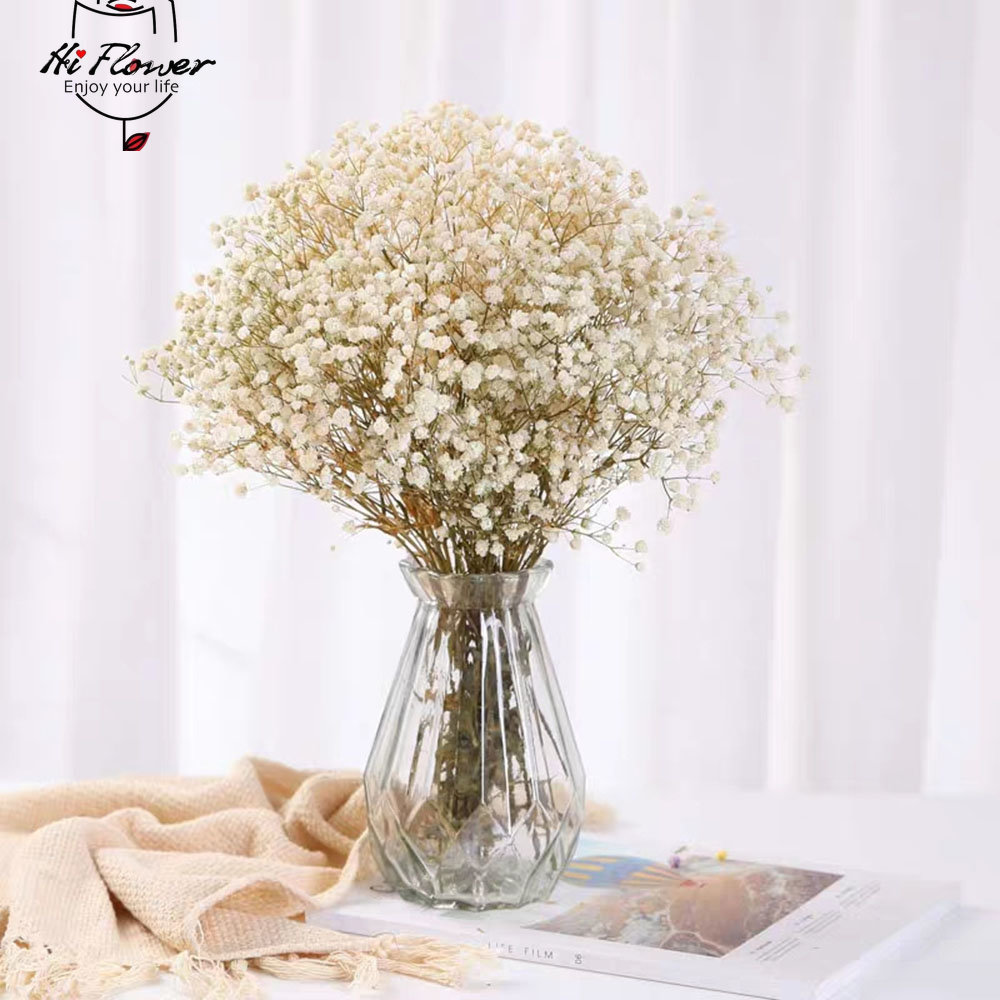 자연 말린 꽃 보존 된 Gypsophila Panicu - Baby Breath Dried 리뷰 및 가격