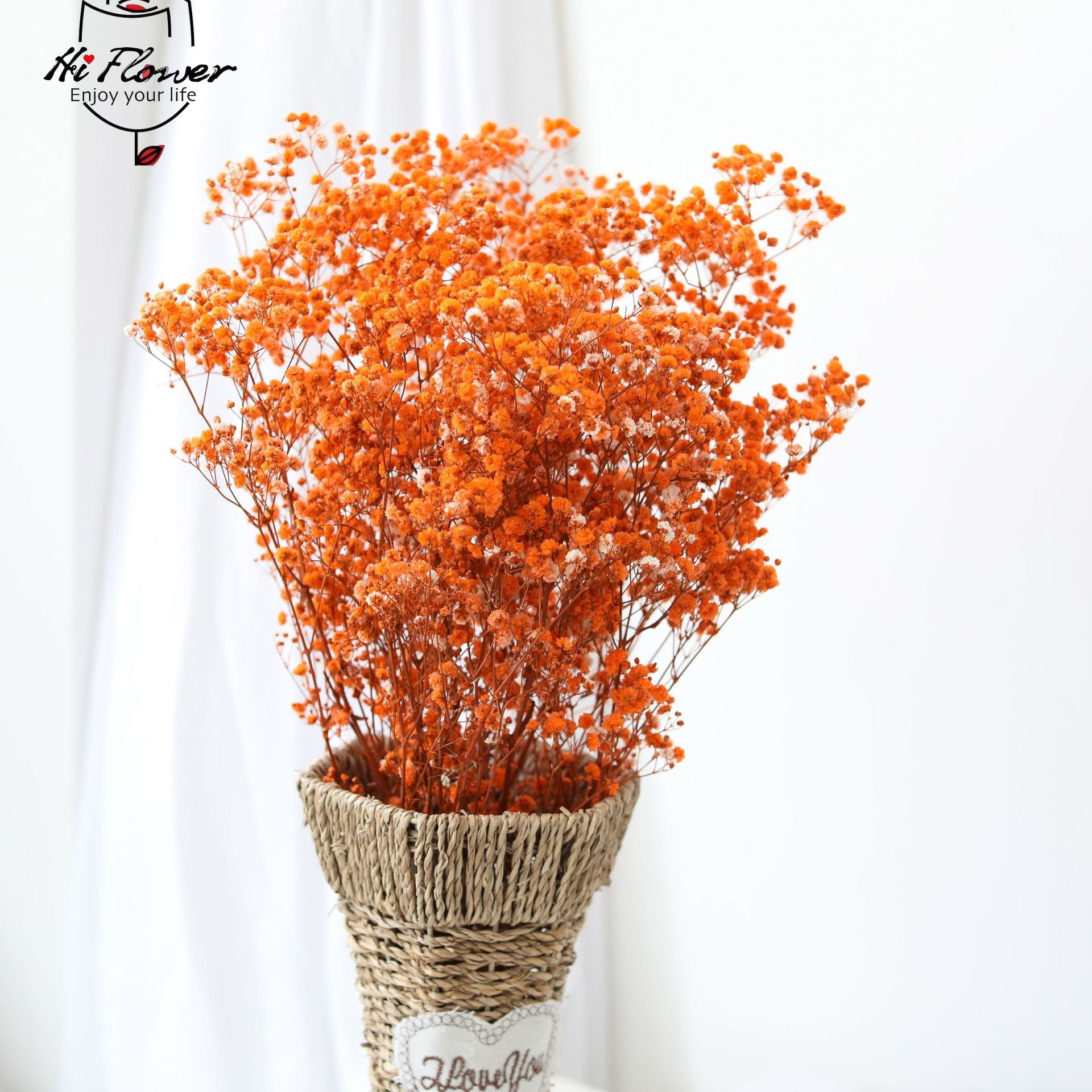 자연 말린 꽃 보존 된 Gypsophila Panicu - Baby Breath Dried 리뷰 및 가격