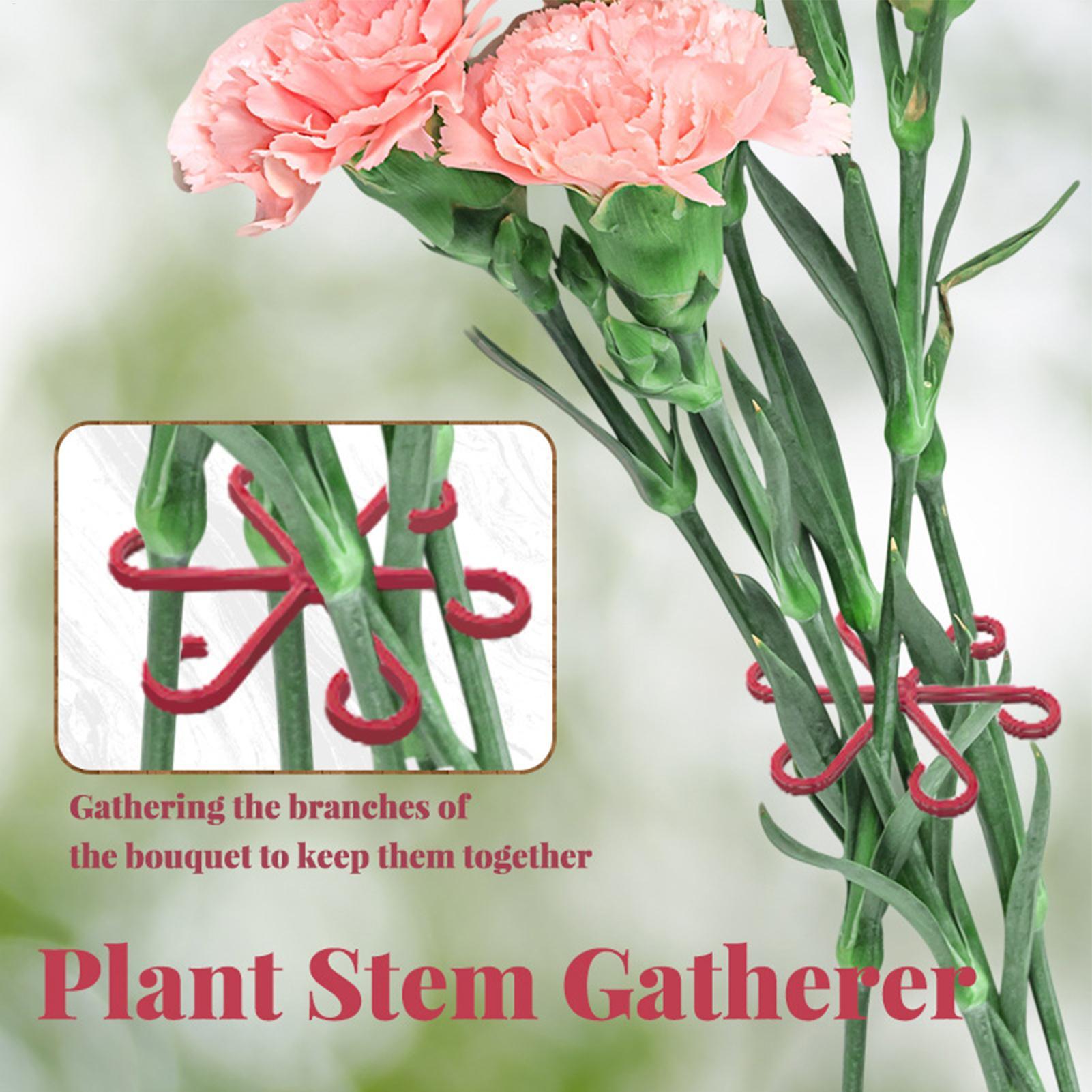 4개입 식물 고정 클립 식물 등반 지지대 꽃 줄기 접이 - Florist Supply Bulk 리뷰 및 가격