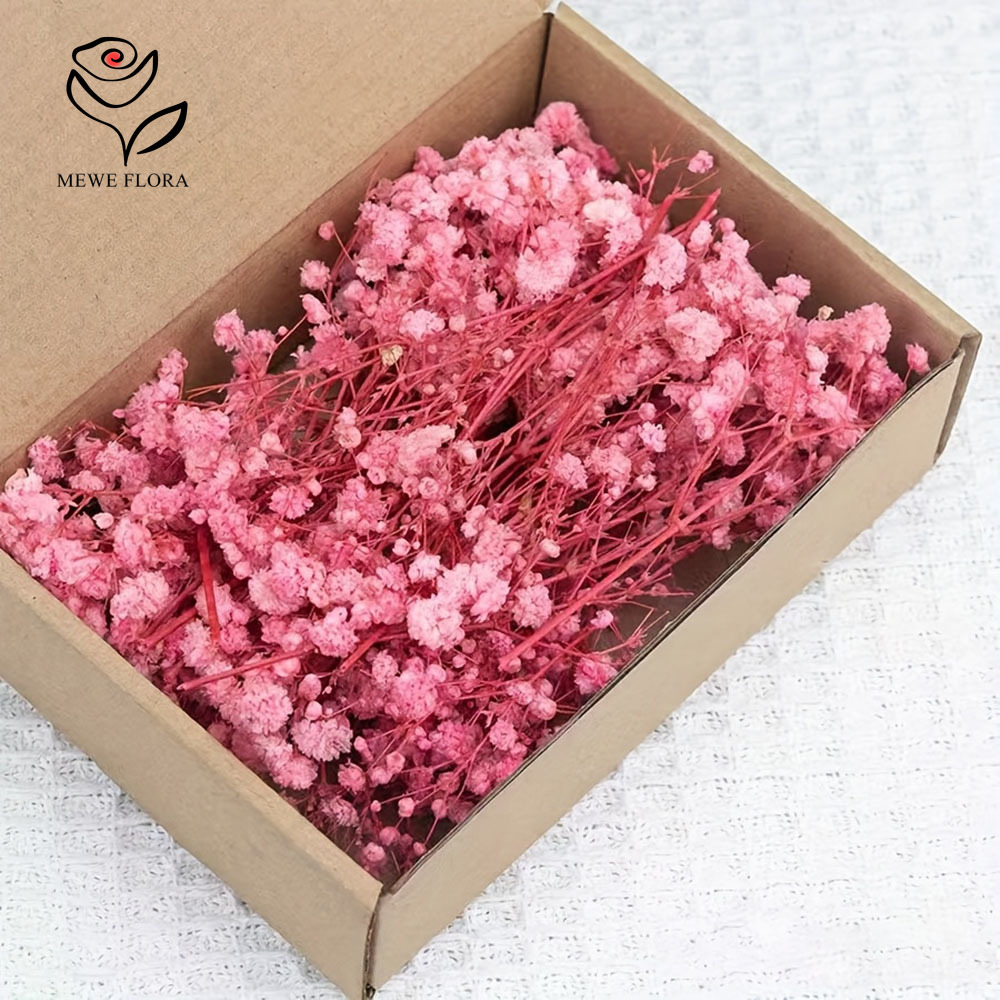 카드 만들기 DIY 공예 미니 안개꽃 꽃다발 홈 웨딩  - Baby Breath Dried 리뷰 및 가격