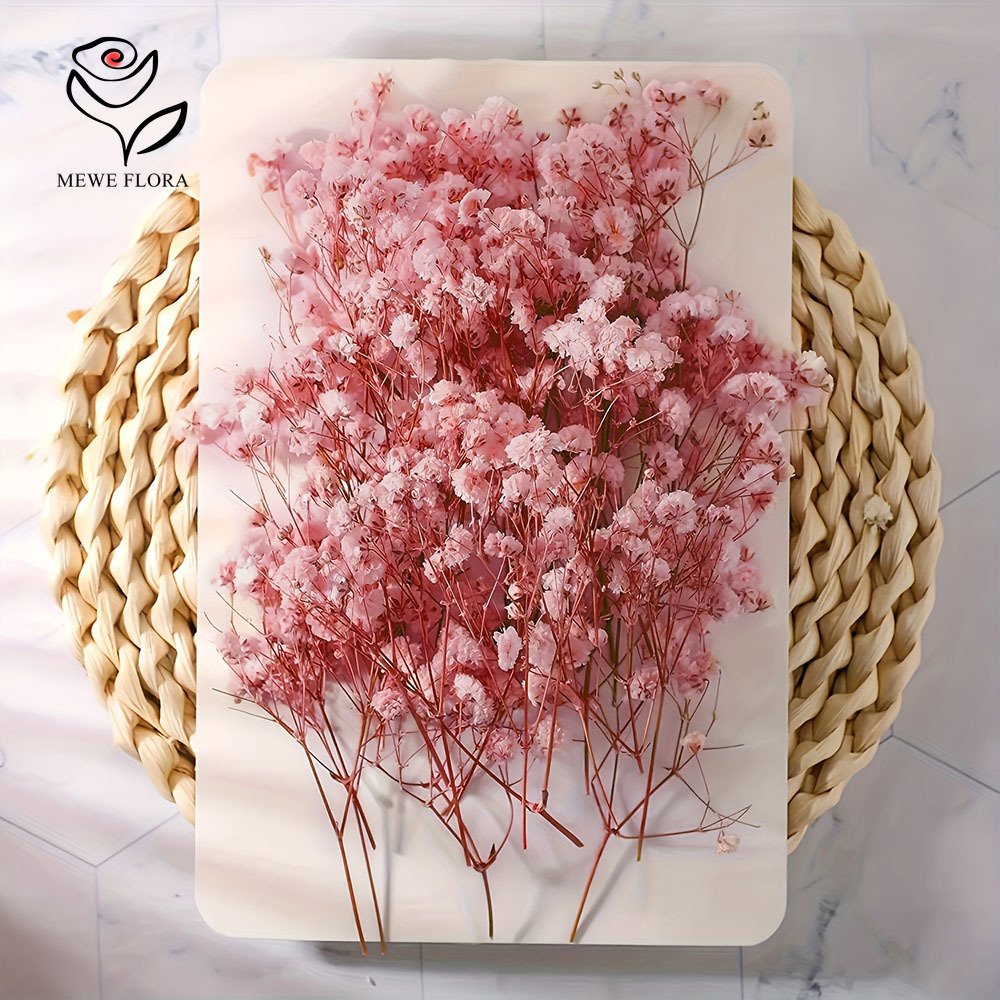 카드 만들기 DIY 공예 미니 안개꽃 꽃다발 홈 웨딩  - Baby Breath Dried 리뷰 및 가격